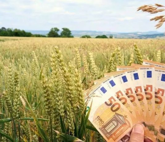 Peste 589 de milioane de euro virate în conturile fermierilor pentru Campania 2026