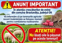 Crescătorii de ovine din Brastavățu, avertizați asupra riscului de otrăvire a animalelor.