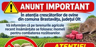 Crescătorii de ovine din Brastavățu, avertizați asupra riscului de otrăvire a animalelor.