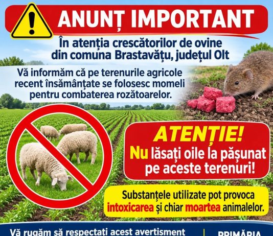 Crescătorii de ovine din Brastavățu, avertizați asupra riscului de otrăvire a animalelor.