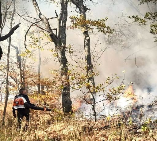 Imbunătățirea normelor pentru incendiile de pădure