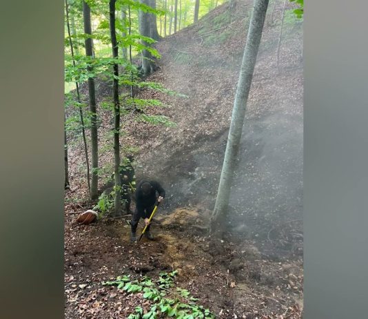 Situația incendiilor de vegetație și fond forestier complexe, înregistrate în județele Caras-Severin și Vâlcea
